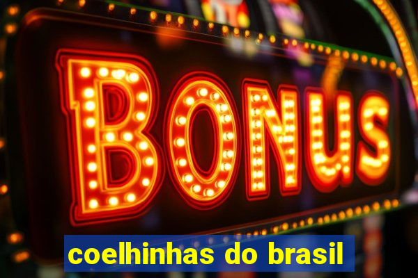 coelhinhas do brasil